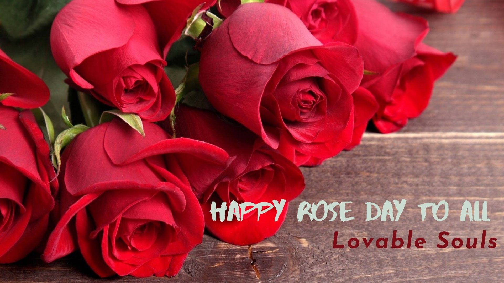 Happy Rose Day 2022: 50+ Rose Day Quotes, Wishes & Greetings